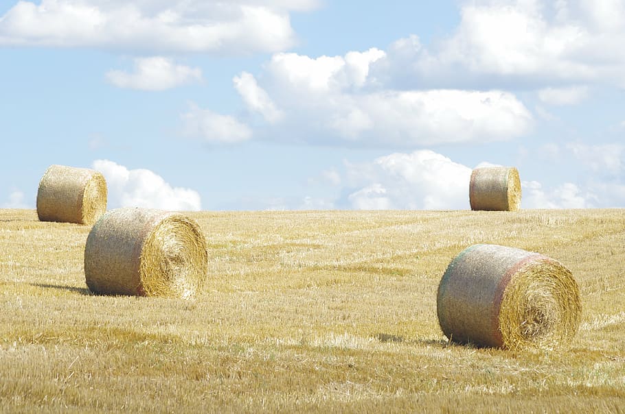 norfolk, straw, roll, sky, field, bale, hay, land, landscape HD wallpaper