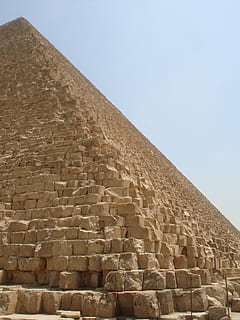 HD wallpaper: Carriage, Horse, Egypt, Pyramids, tourist, giza, temple ...