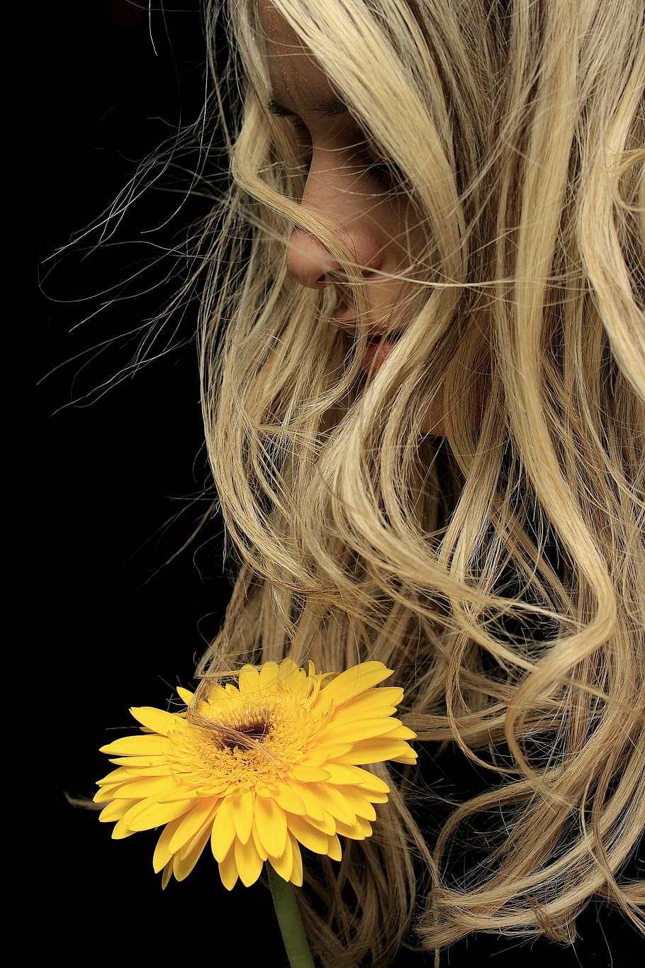 woman holding yellow flower, model, exposure, young model, fiction HD wallpaper