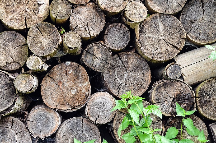 firewood, holzstapel, stack, log, timber, wood - material, lumber industry HD wallpaper