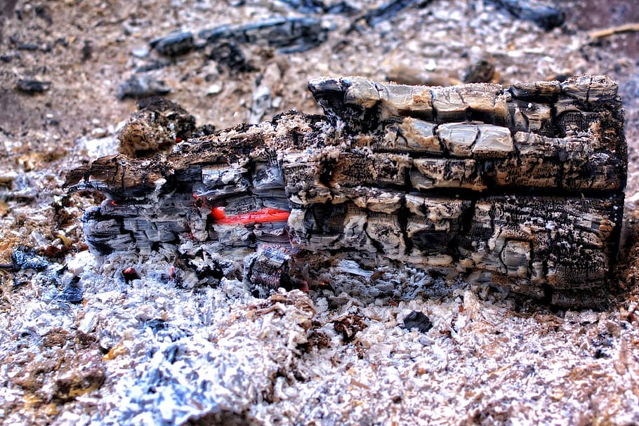 Embers, Fire, Burn, Hot, Wood, Campfire, heat, blaze, weissglut HD wallpaper