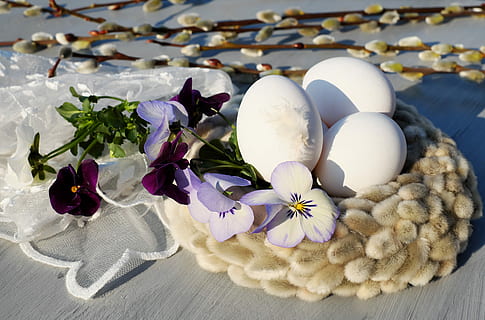 purple petal flower with eggs on fabric nest, easter eggs, white HD wallpaper