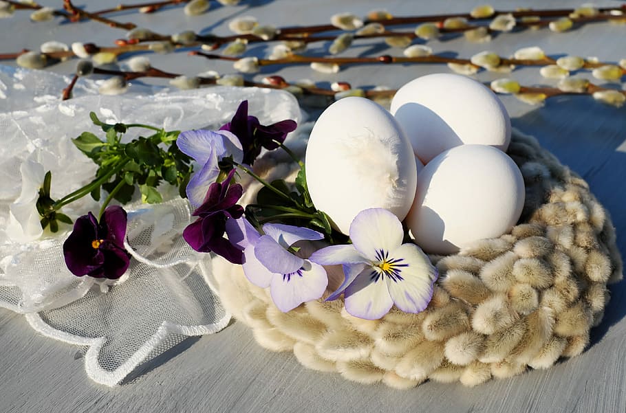 purple petal flower with eggs on fabric nest, easter eggs, white HD wallpaper