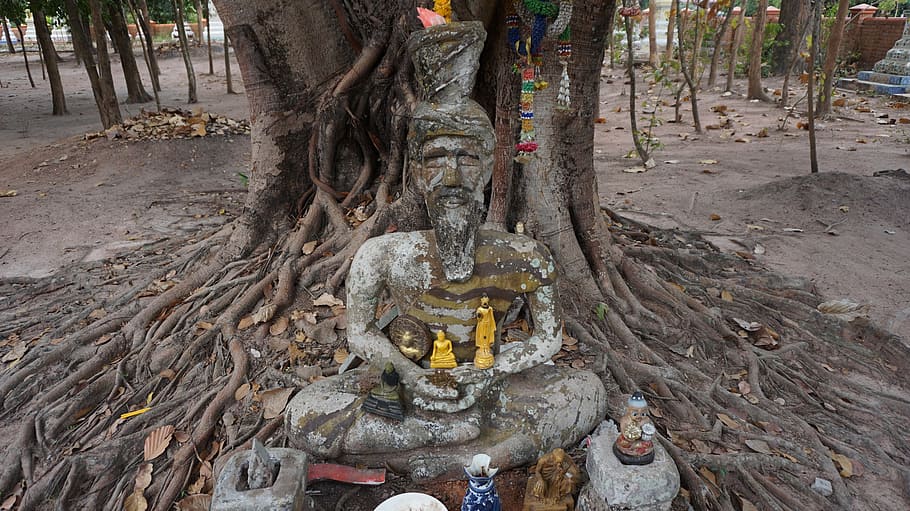 tree, recluse, priest, statue, image, holy thing, adoration HD wallpaper
