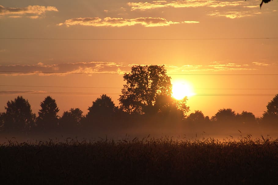 sunrise, summer, view, sunset, sky, beauty in nature, tranquility HD wallpaper