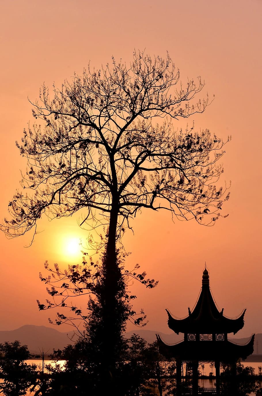 Sunset, The Evening Sun, china construction, trees, silhouette HD wallpaper