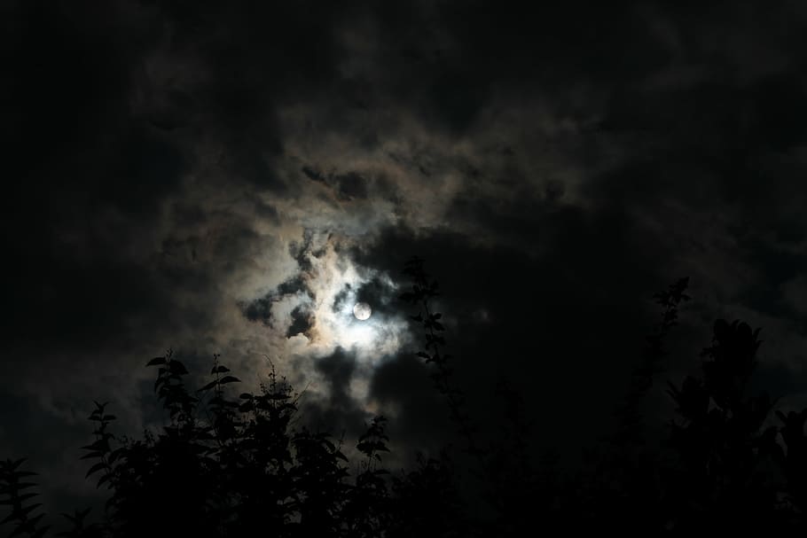 clouds, dark, moon, nature, silhouette, sky, tree, cloud - sky HD wallpaper