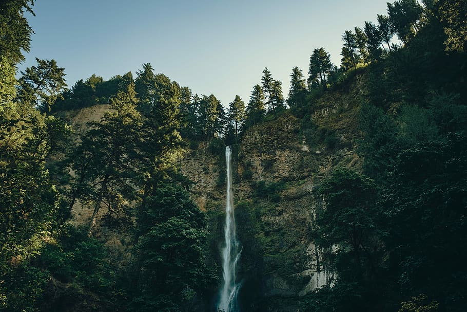 closeup photography of waterfalls, waterfalls surrounded by green leaf trees photo HD wallpaper