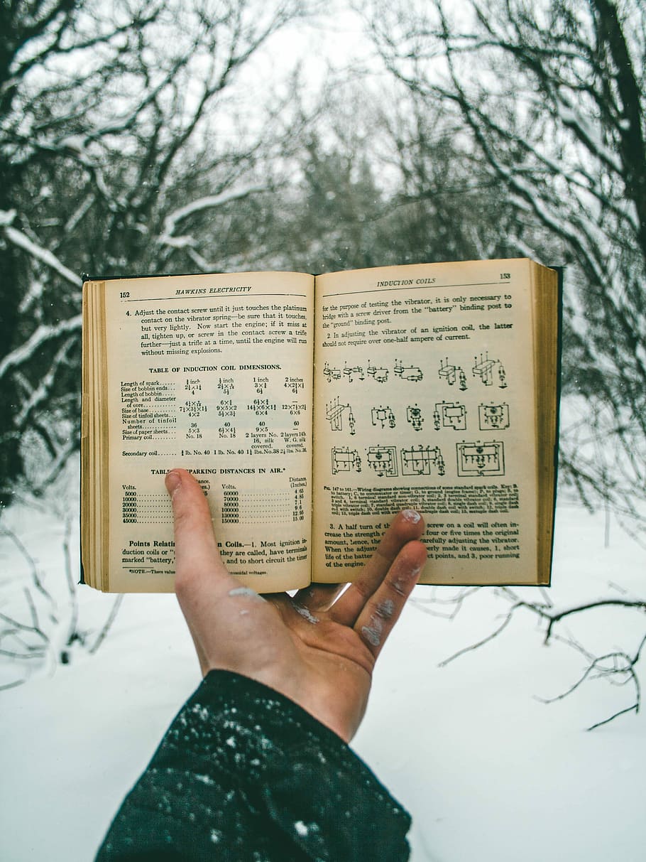 person holding book in snow coated forest during daytime, person holding opened book HD wallpaper