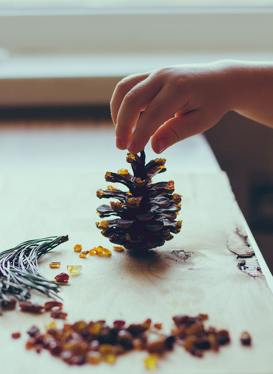 amber, odd job, handmade, human hand, one person, food and drink HD wallpaper