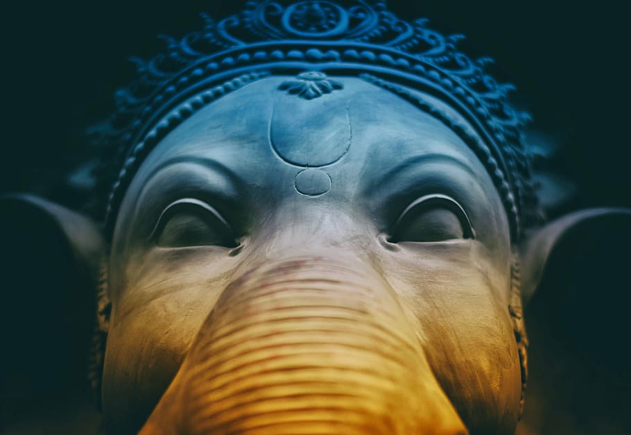 gray elephant wallpaper, art, close-up, face, head, portrait HD wallpaper