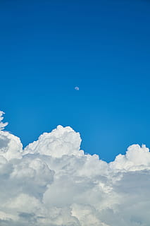 white clouds under blud sky, blue, landscape, nature, summer HD wallpaper