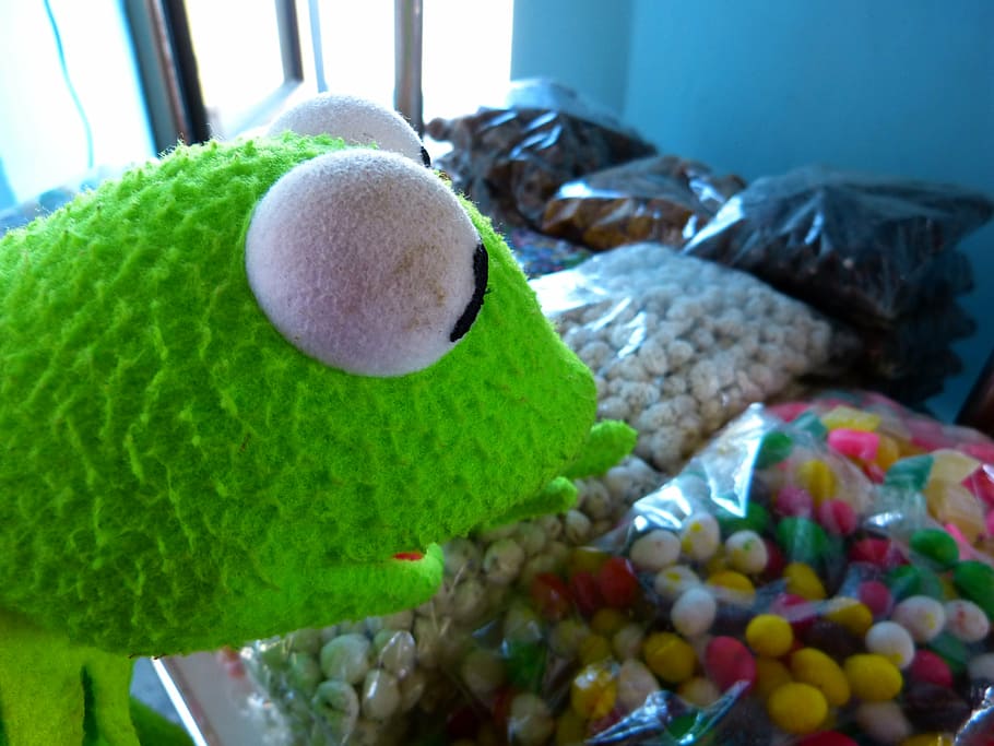 kermit, frog, shopping, candy, delicious, colorful, indoors, HD wallpaper