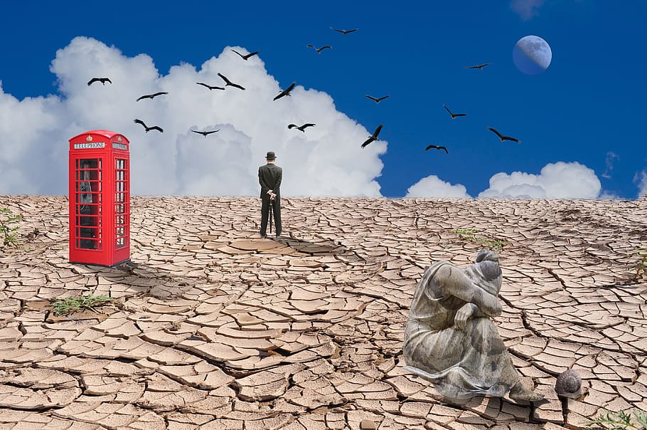 desolation, sadness, indifference, sky, nature, bird, vertebrate HD wallpaper
