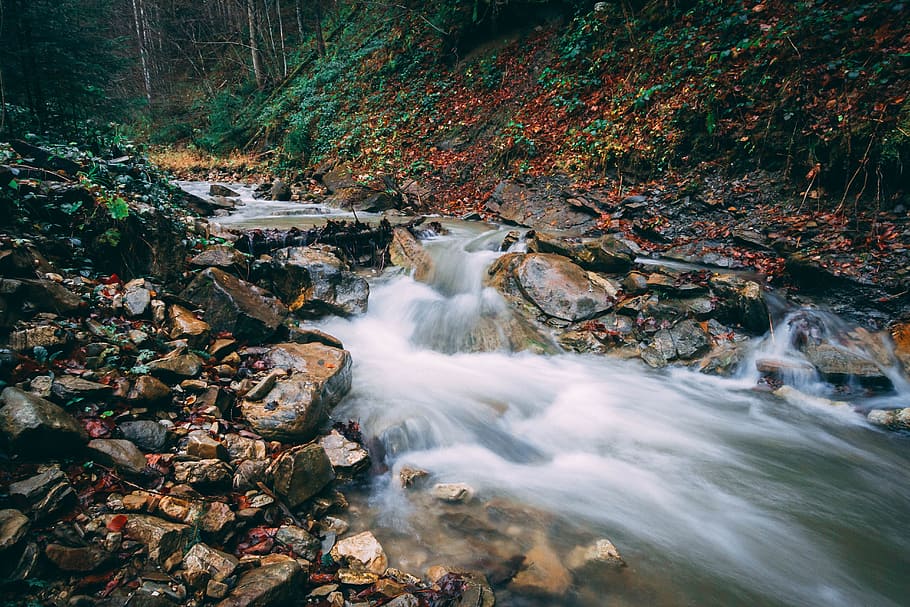 river, longexposure, fall, water, flowing water, forest, scenics - nature HD wallpaper