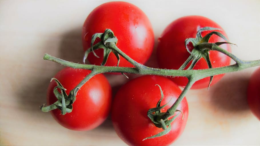 tomatoes, vegetables, food, food and drink, healthy eating HD wallpaper