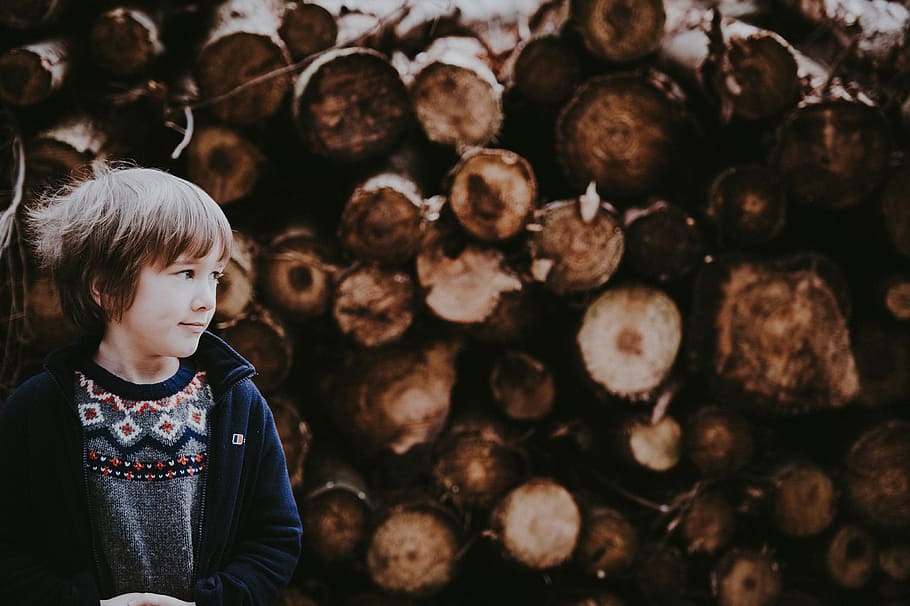Boy by log stack, boy beside wood logs, child, woodland, childhood HD wallpaper