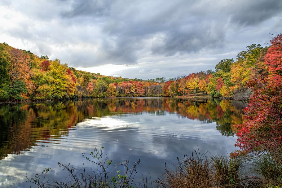 Hidden Lake, Water, Sky, Clouds, Outdoor, trees, fall foliage HD wallpaper