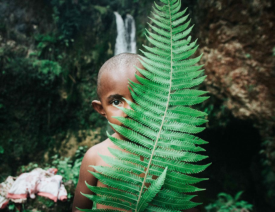 boy standing in behind plant, boy standing behind green leaf HD wallpaper