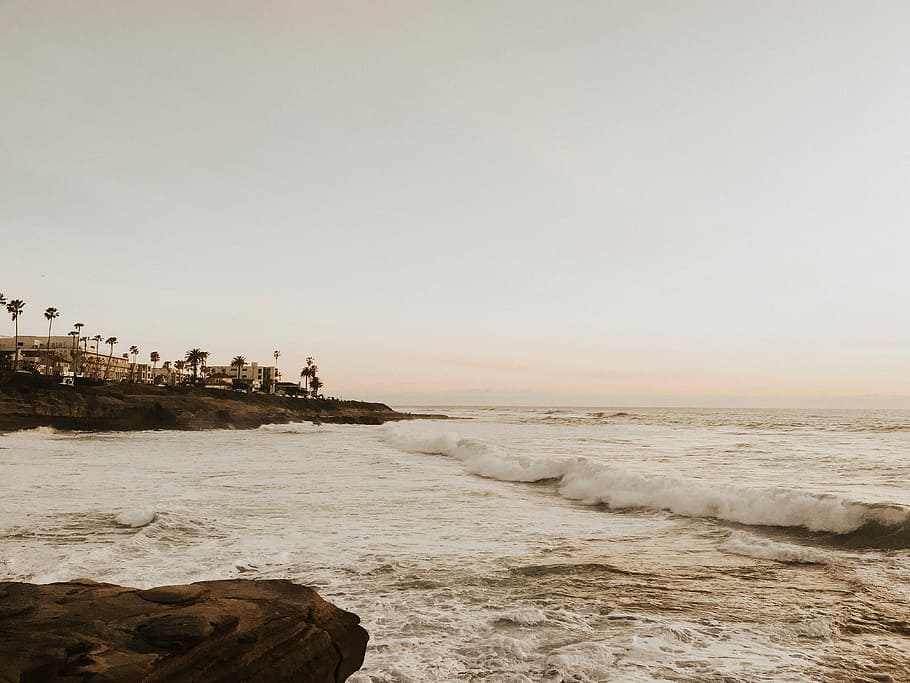 seawaves near seashore with coconut trees, beach, ocean, water HD wallpaper
