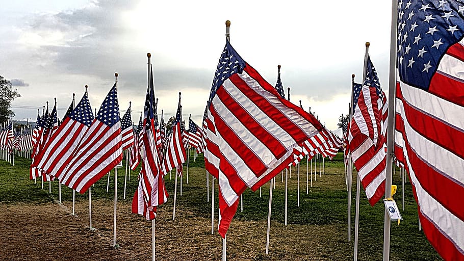 U.S.A flags, american flag, usa flag, symbol, national, red, united, HD wallpaper