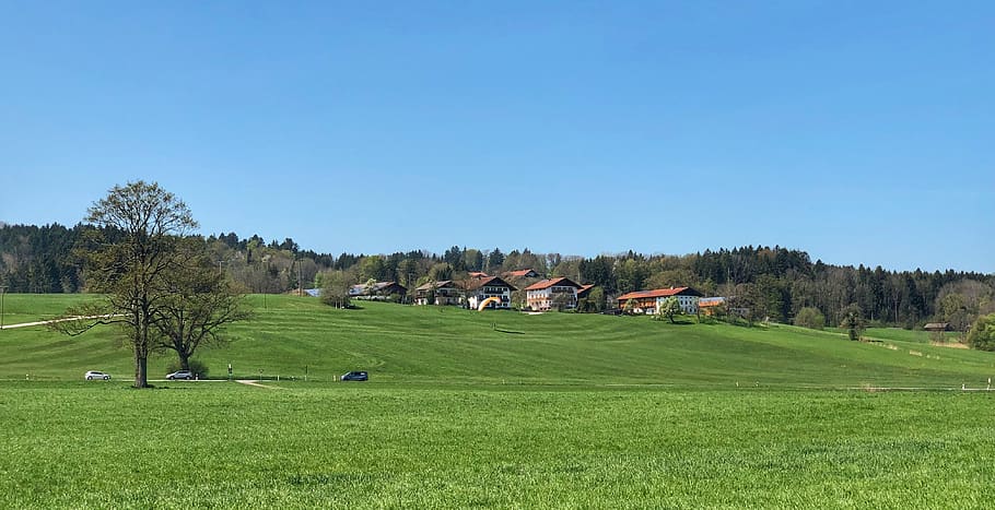 grass, nature, panorama, landscape, tree, field, rural, hill, HD wallpaper