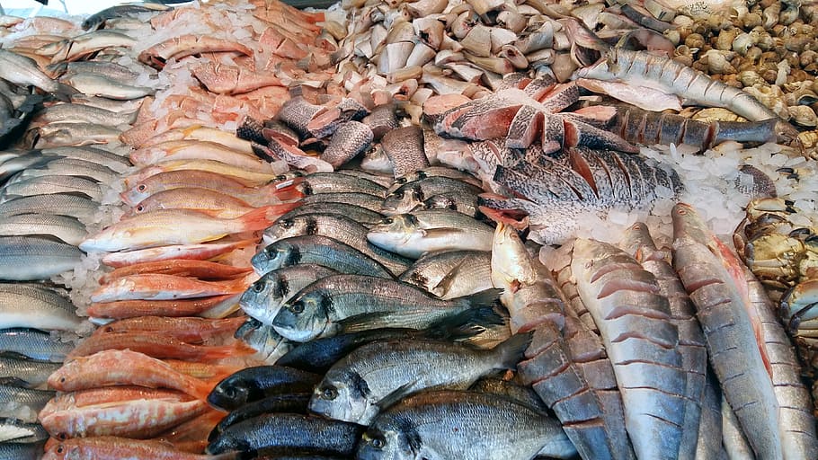 fish, market, sea, fresh, seafood, vertebrate, animal, for sale, HD wallpaper