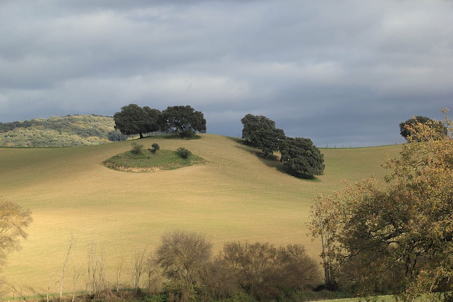 spain, hills, landscape, tree, nature, rural Scene, plant, cloud - sky HD wallpaper