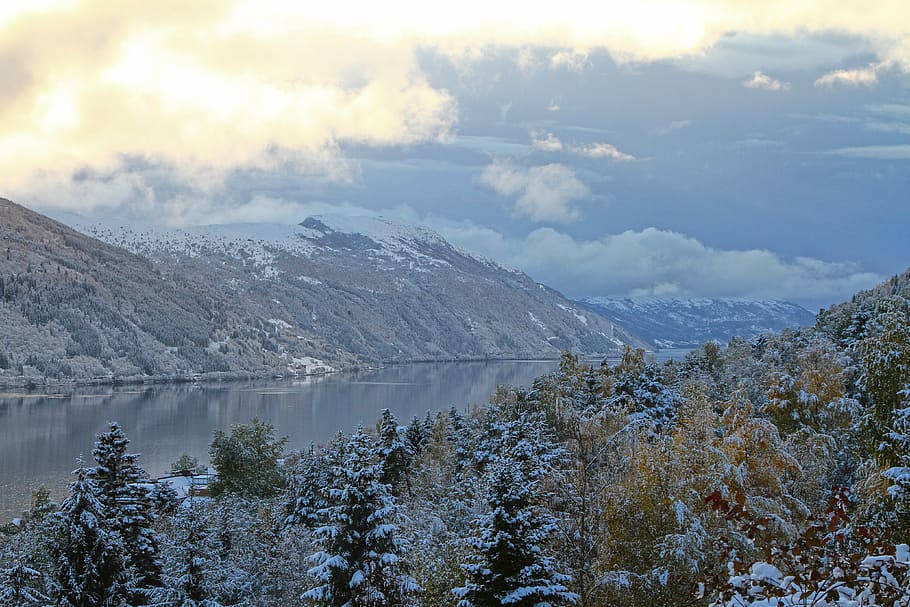 body of water between hills at daytime, snow, covered, forest HD wallpaper