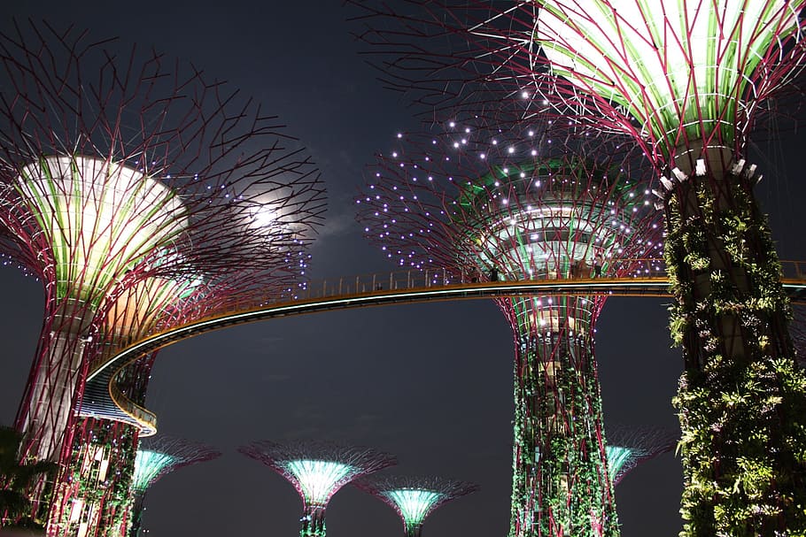 HD wallpaper: singapore, gardens bay, giant tree, asia, skyline, modern, illuminated - Wallpaper Flare