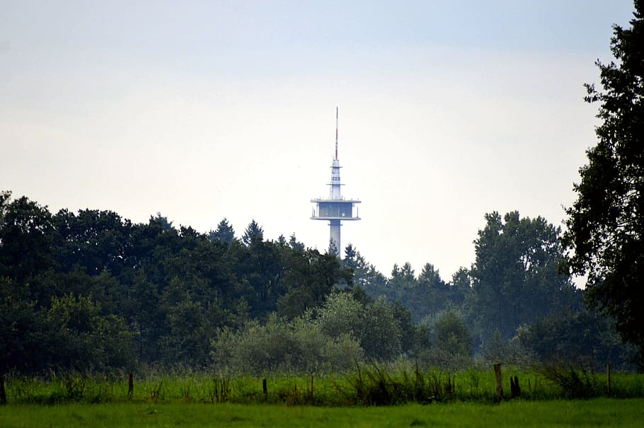 landscape, nature, summer, sky, forest, trees, tv tower, meadow HD wallpaper