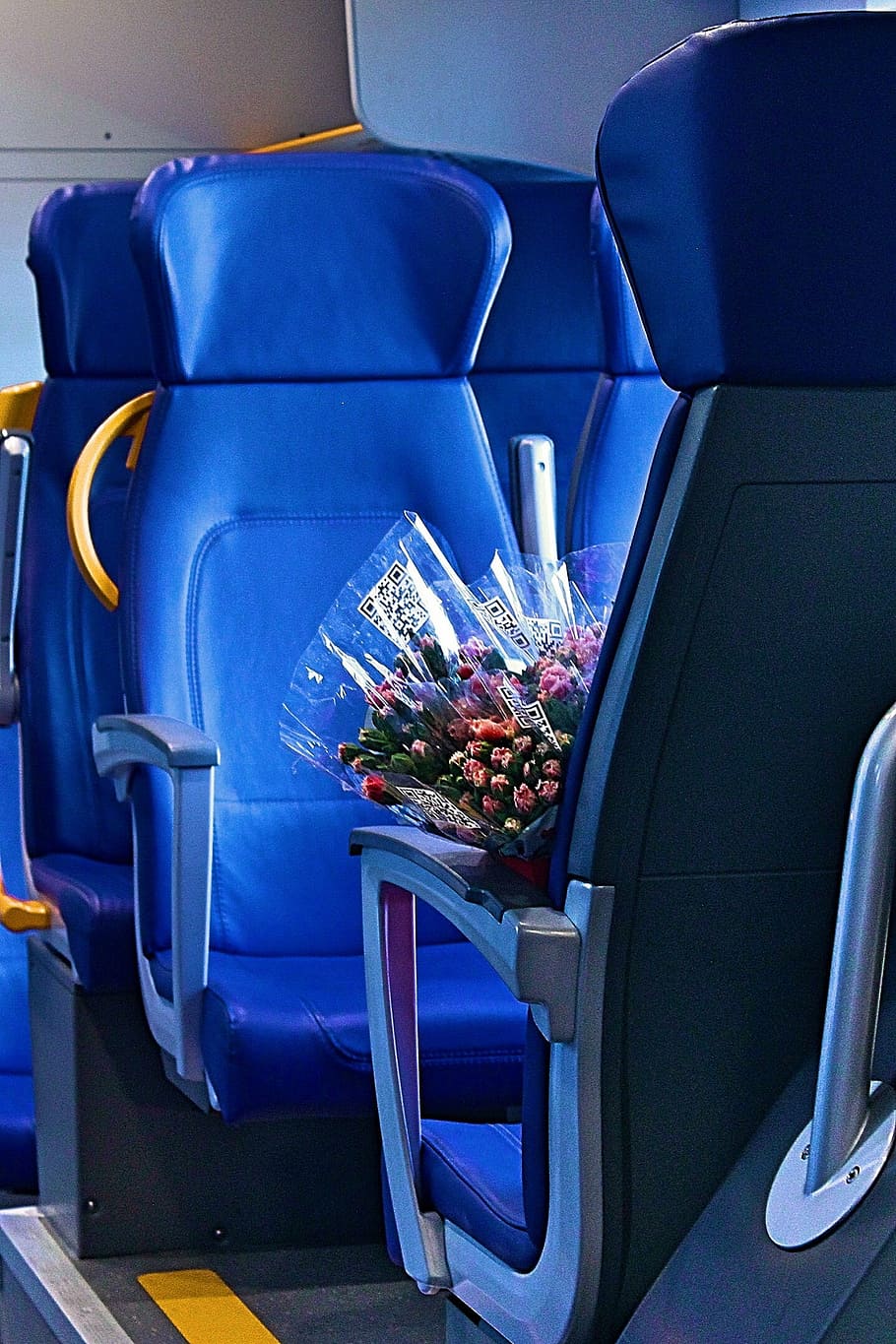 train, elektrichka, naples, roses, blue, armchair, the way HD wallpaper