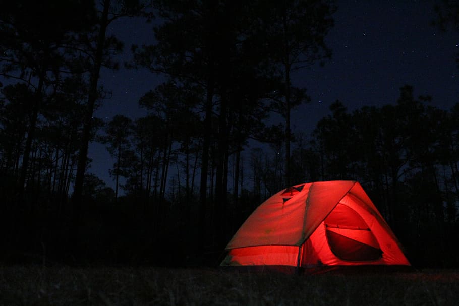 Colt Creek Campsite, photography of red dome tent during nighttime, HD wallpaper