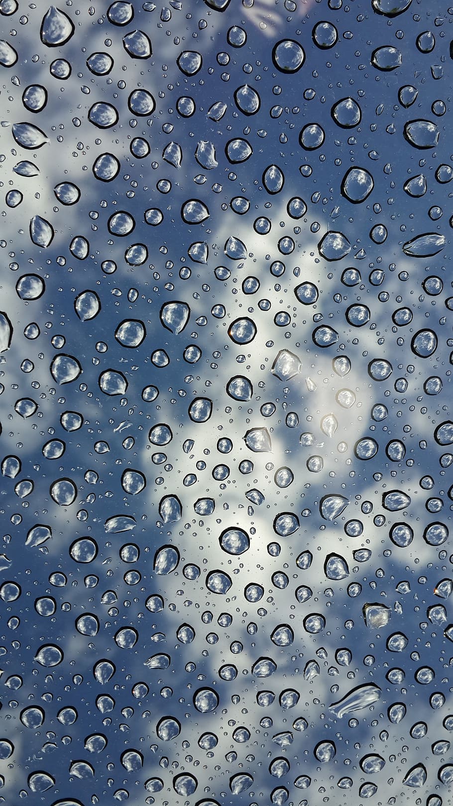 rain drops, water drops, window, full frame, backgrounds, no people HD wallpaper
