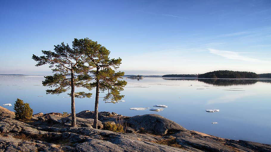 two green leaf trees on mountain with rocks near body of water under blue sky at daytime HD wallpaper