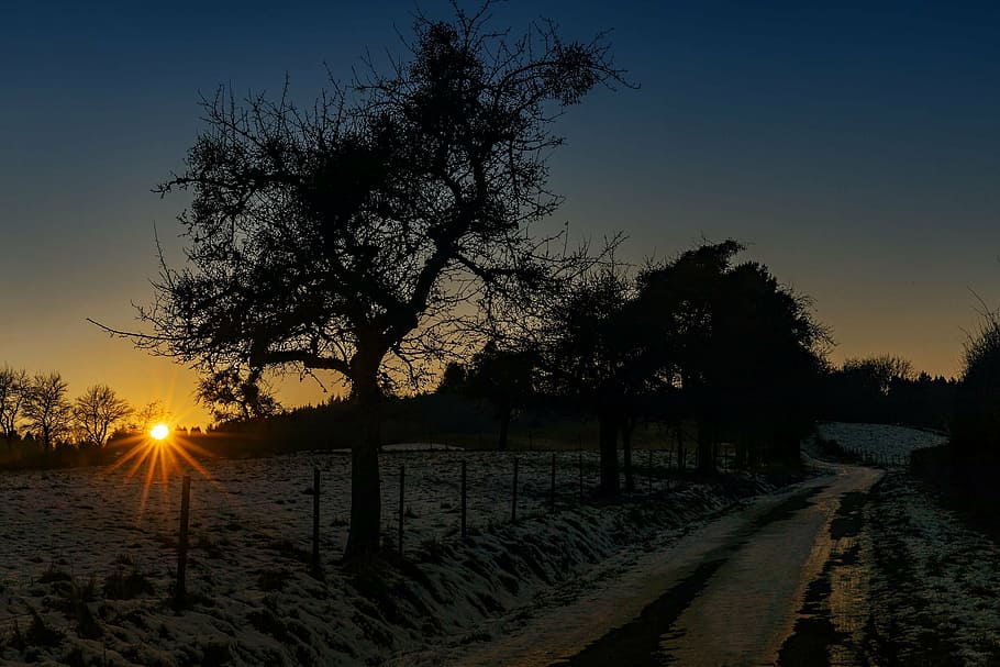 wintry, sunset, nature, evening sky, landscape, twilight, trees HD wallpaper