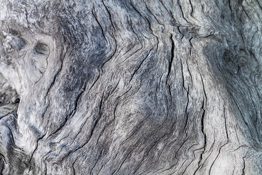 tree bark, dry, lam, fabrics, wood, textured, backgrounds, full frame HD wallpaper