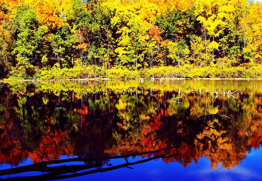 fall colors, fall foliage, autumn, water, reflection, colorful HD wallpaper