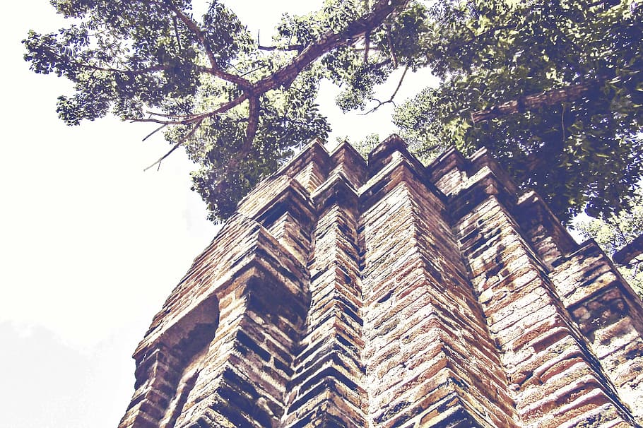 building, bricks, architecture, tree, ancient, brick wall, low angle shot HD wallpaper