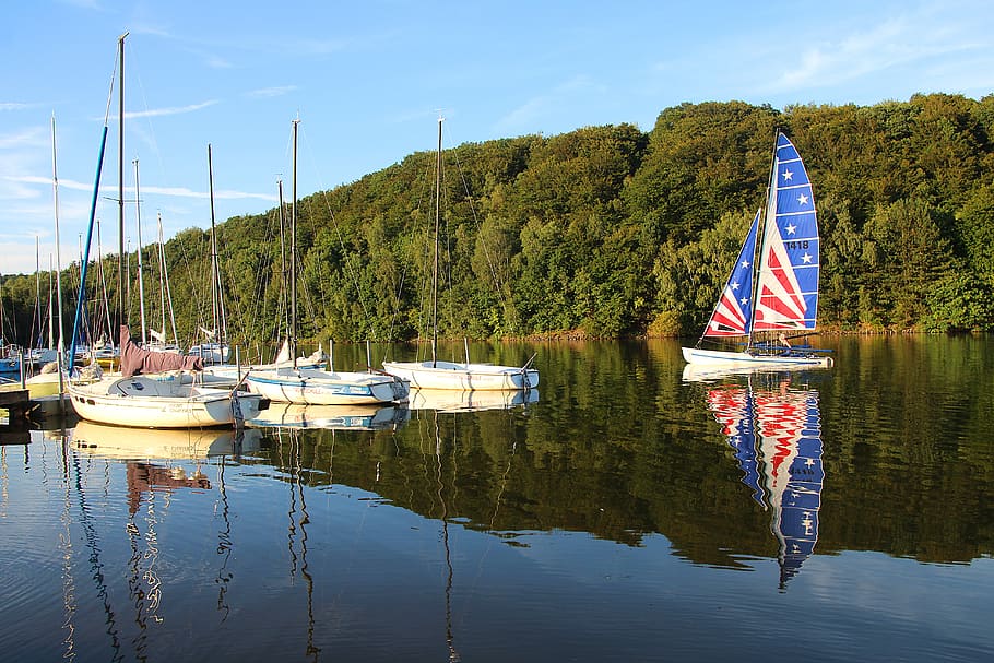 Summer sailing. Fisher on Boat 4k.