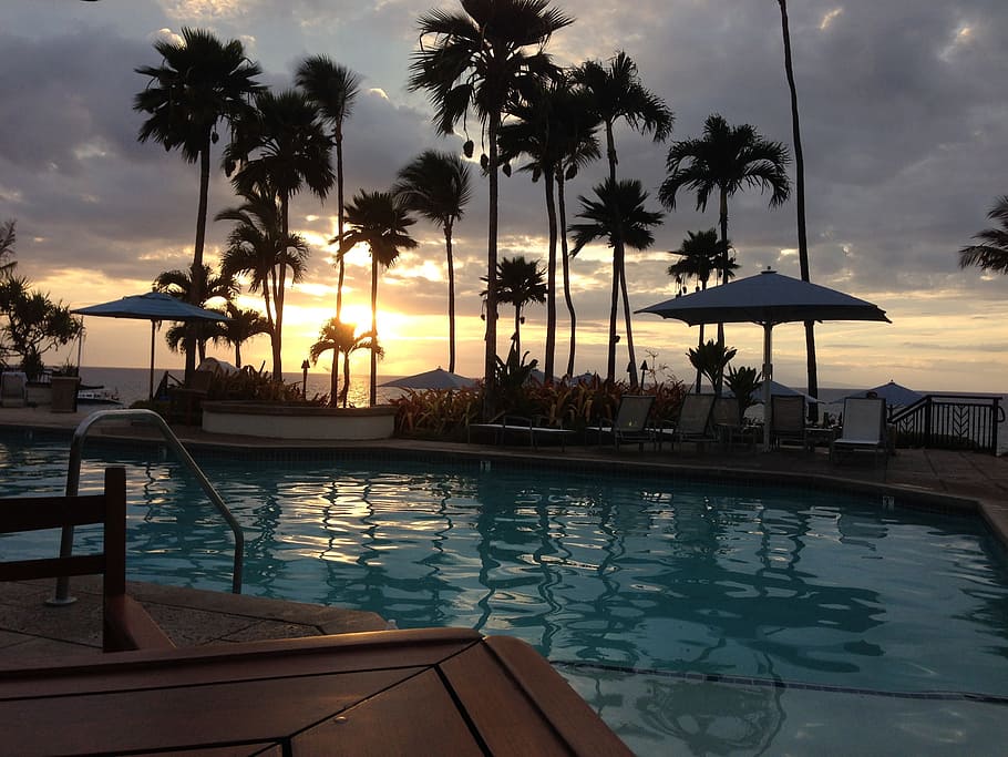 swimming pool, vacation, palms, sunset, resort, maui, water HD wallpaper