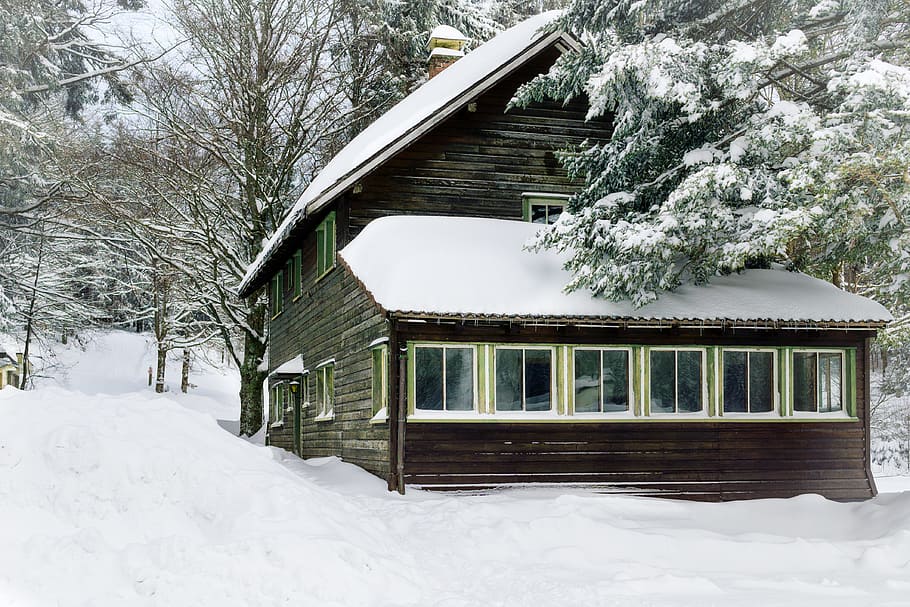 cold, snow, wood, landscape, bungalow, forest, zing, frost, frosty HD wallpaper