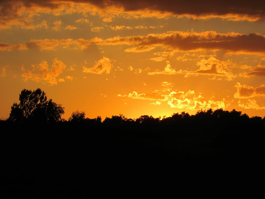 Sunset, Orange, Glow, Shine, Clouds, contrast, shadow, trees HD wallpaper