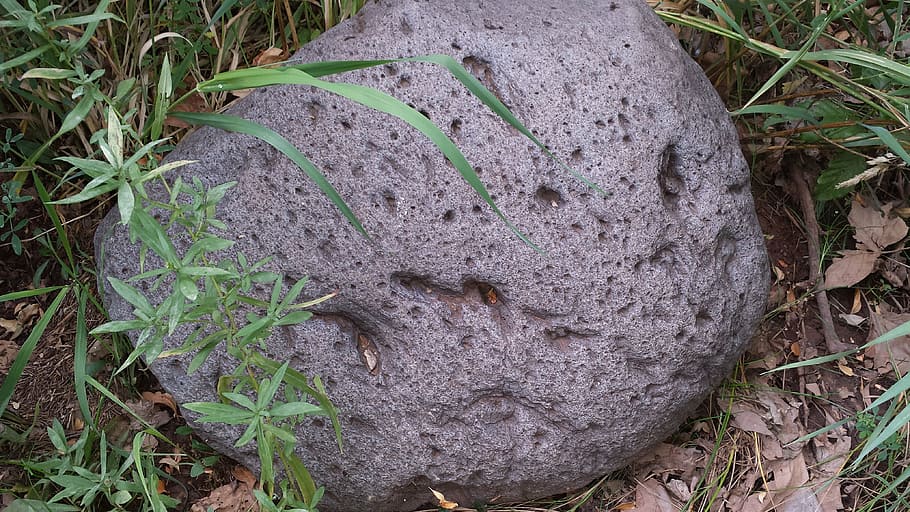 rock, boulder, stone, hard, heavy, strong, geology, plant, land HD wallpaper