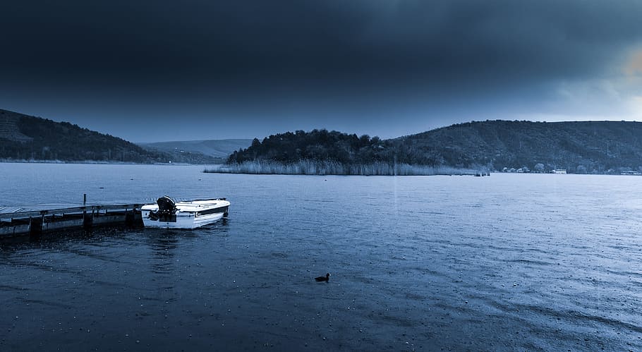 white speedboat, white boat on body of water under black sky HD wallpaper
