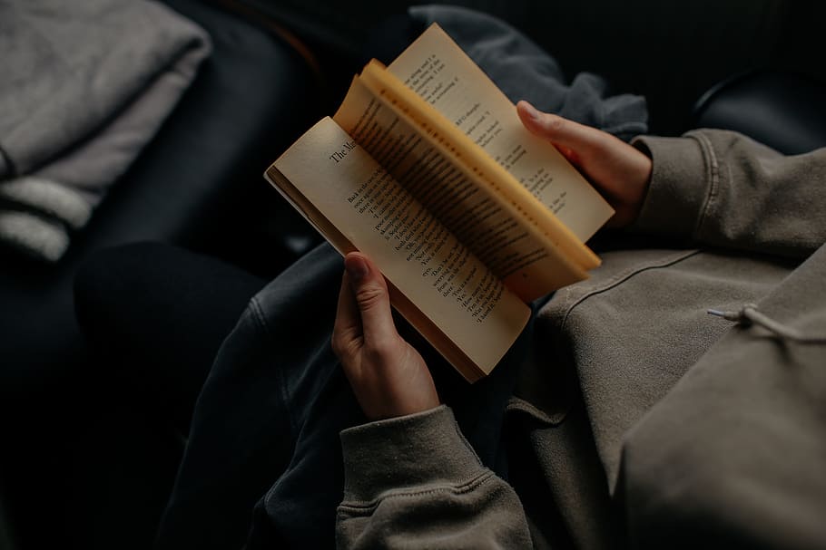 person reading book white sitting, man wearing gray sweatshirt reading book HD wallpaper