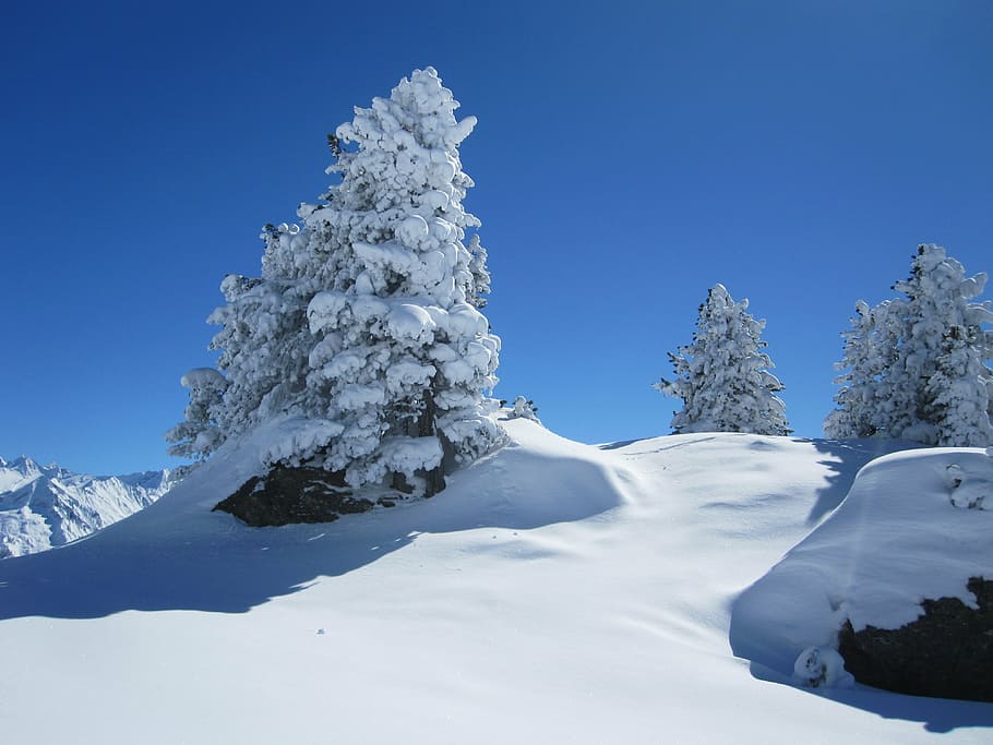 snow, winter, mountain, wintry, tree, winter dream, cold temperature HD wallpaper