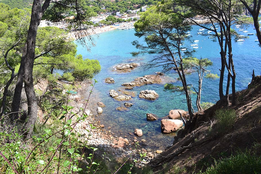 sea, pine, side, mediterranean, spain, seaside, nature, maritime landscape HD wallpaper
