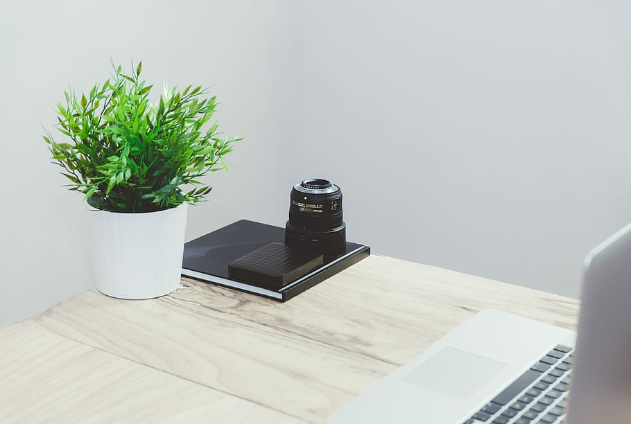 black camera on table near green plant on pot inside the room, silver MacBook near green leaf plant on brown wooden desk HD wallpaper