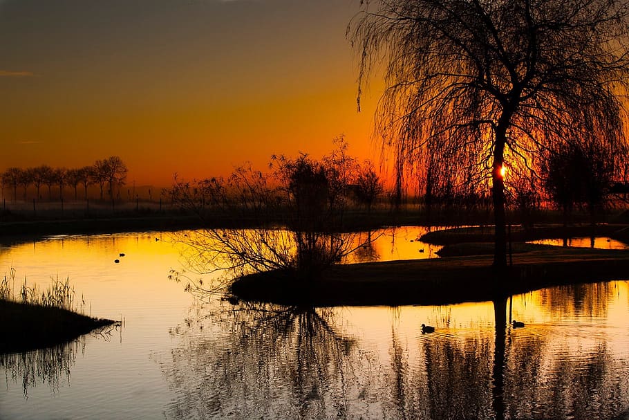 Sunrise, Pond, truer, reflection, sunset, lake, water, silhouette HD wallpaper